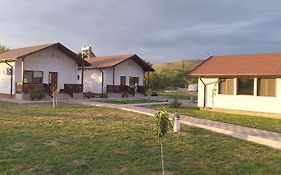 Zander House